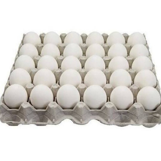 Poultry Egg 30 pics 